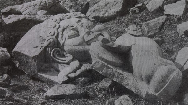 Excavation photo bw