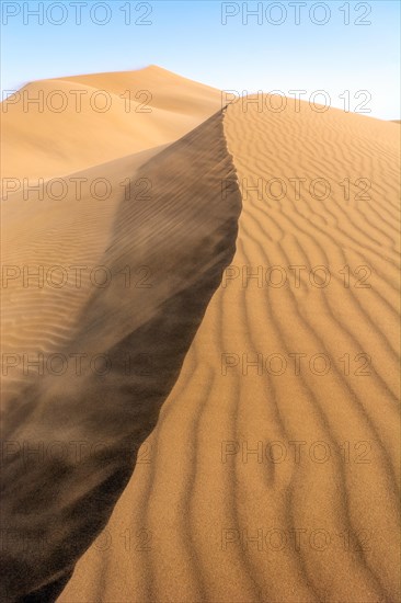 Wanderduenen in der Wueste Erg Chebbi in Suedmarokko. Merzouga