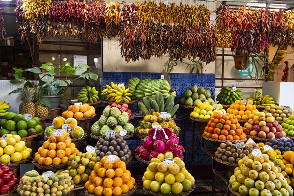 Fruit