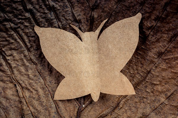 Butterfly cut of paper on brown paper in view