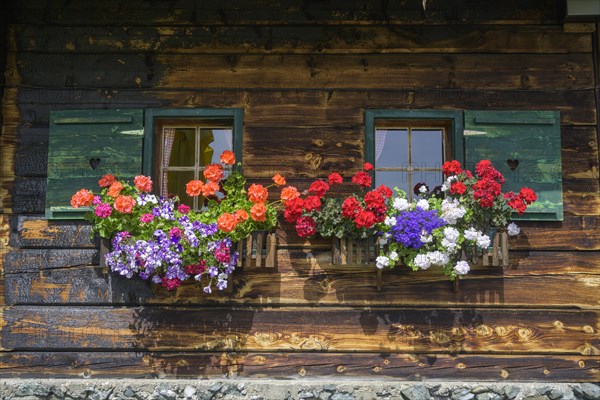 Flower window at the Priesshuette on the Nockalm Road