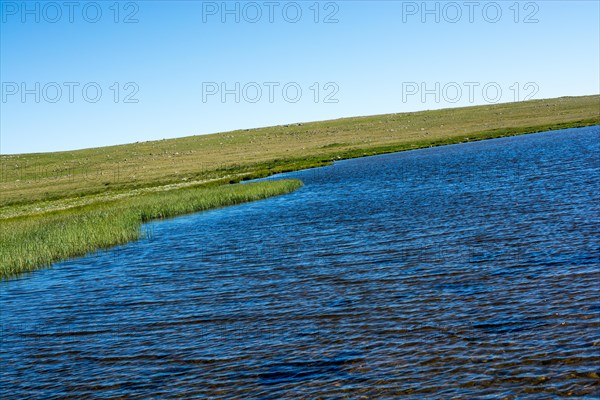 Highland lake in green natural background in Artvin province of Turkey