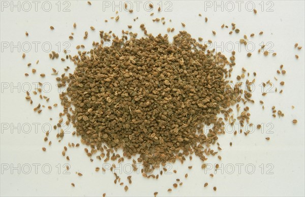 Medicinal herbs: celery