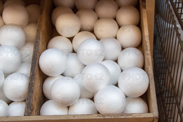 Dozens of styrofoam balls in the view