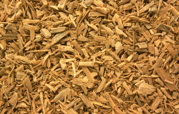 Medicinal plant