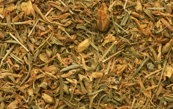Medicinal plant