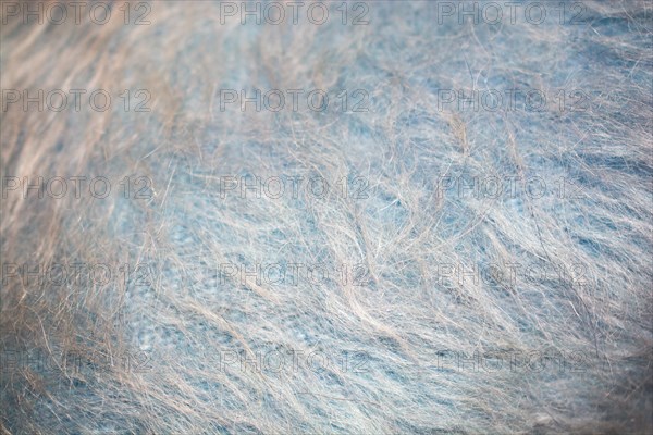 Gray and blue felt like fabric material forming a texture background
