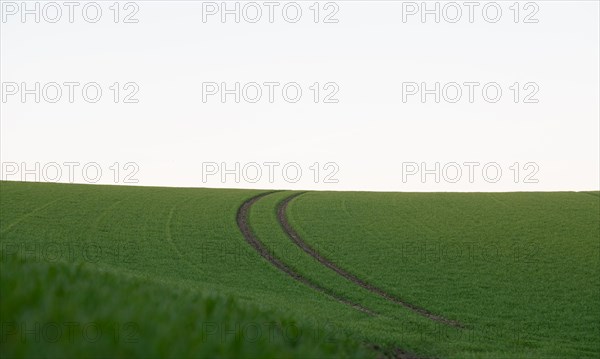 Land consolidation in agriculture