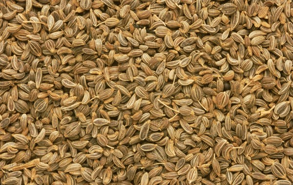 Natural remedy parsley