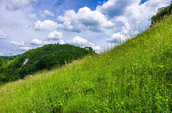 Landscape of the Swabian Alb with a view of Uhenfels Castle near Seeburg between Bad Urach and Muensingen
