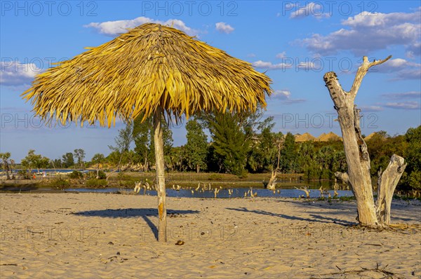 Sun umbrella on a sandy beach