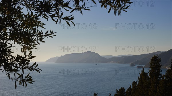 View of the coast