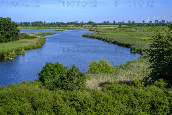 River landscape of the meandering Peene in the Peene valley near Randow