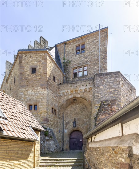 Alzey Castle