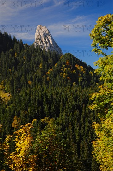 Geiselstein