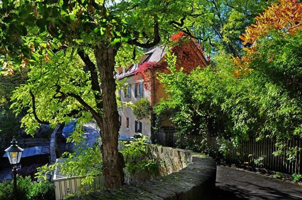 Am Lueginsland