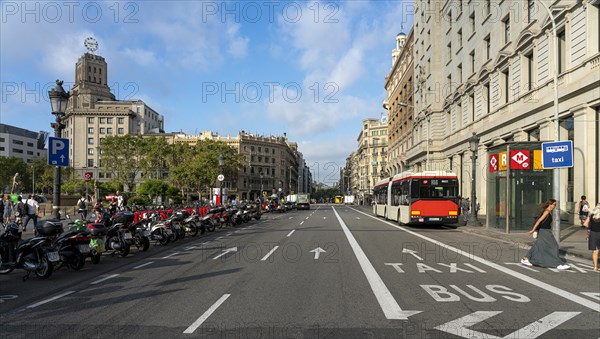 Bus Lane