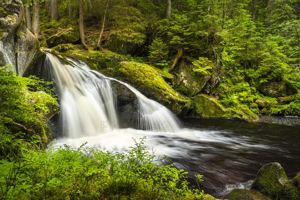The Schwarzenbaechle stream pours in a waterfall into the Kroi-Woog-Gumpen pond