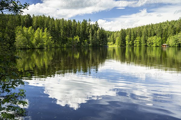 A lake in the forest in fine weather