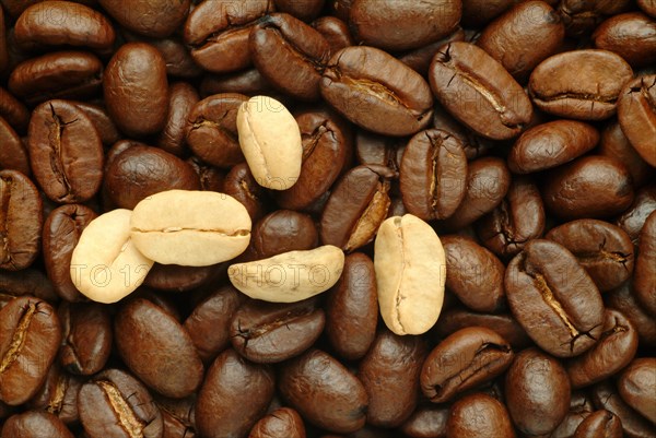Roasted coffee beans
