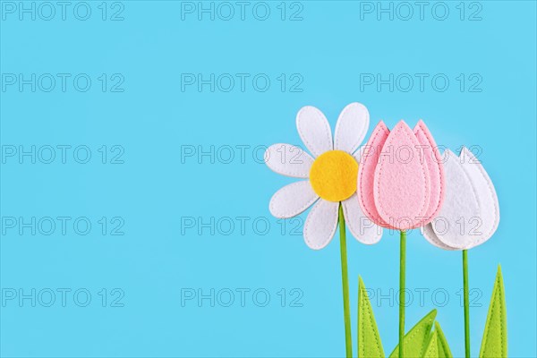 Felt tulip and daisy spring flowers on side of blue background with copy space