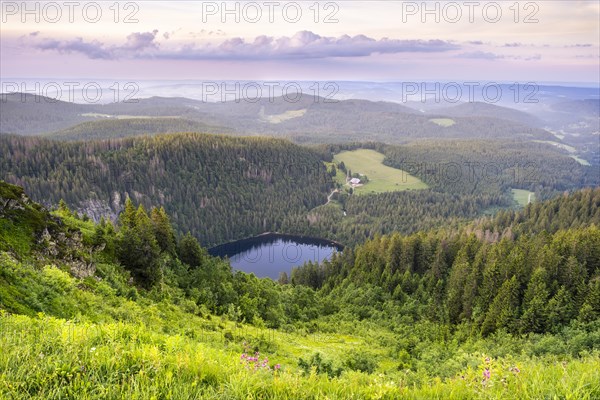 View of the Feldsee in the evening