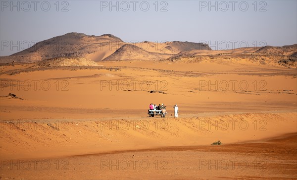 Donkey carts with tourists in the Nubian Desert