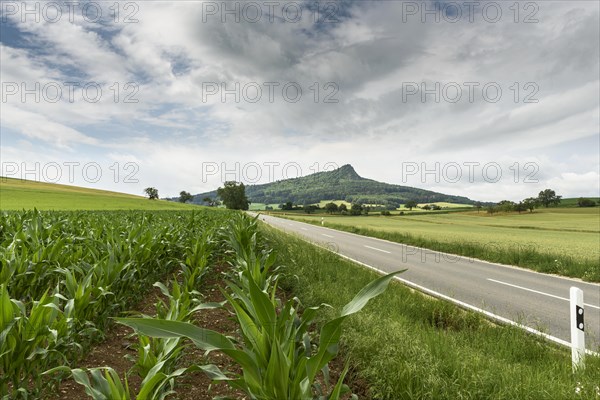 Volcanic landscape Hegau