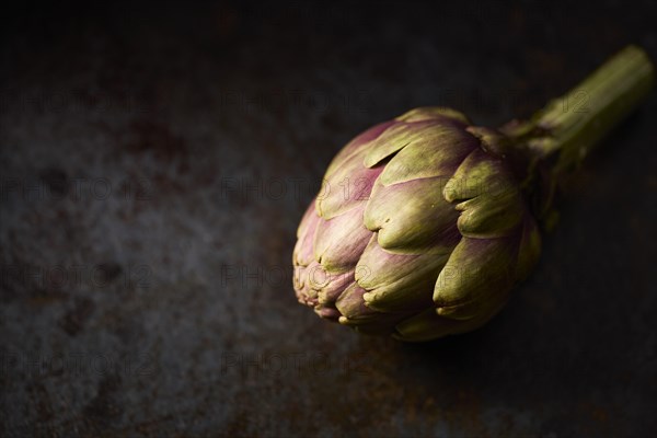 Artichoke