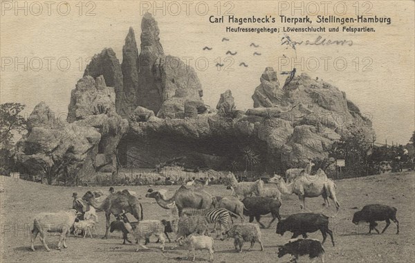 Hay feeder enclosure and lion gorge in Hagenbeck Zoo