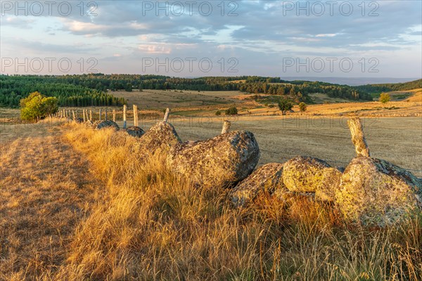 Landscape of Cantal at sunset. France