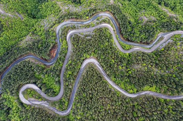 Passo del Muraglione