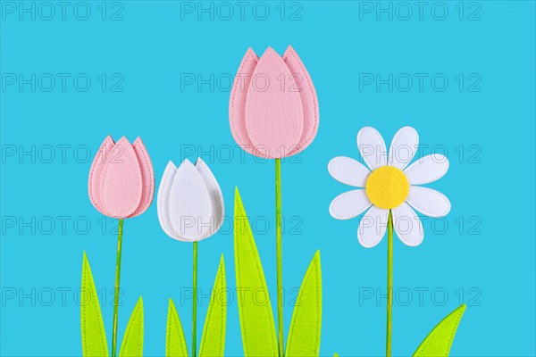 Felt tulip and daisy spring flowers on side of blue background