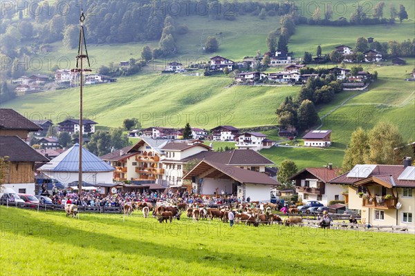 Abtrieb