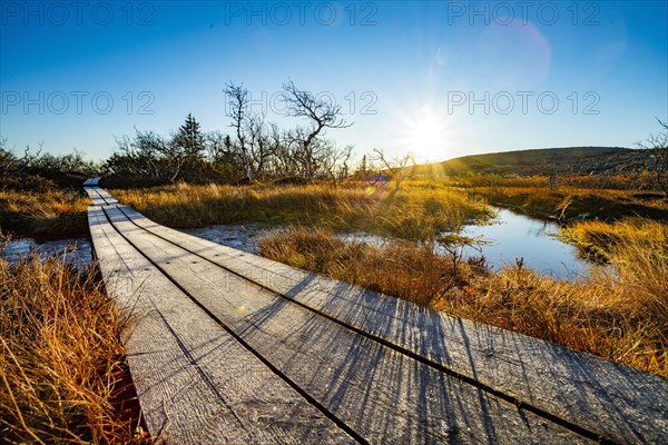 Hiking trail on the plateau in Fulufjaellet National Park