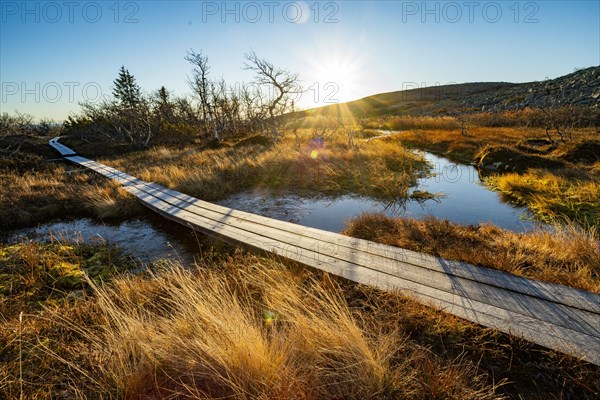 Hiking trail on the plateau in Fulufjaellet National Park