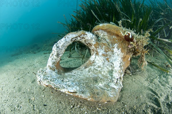 Roman amphora neck