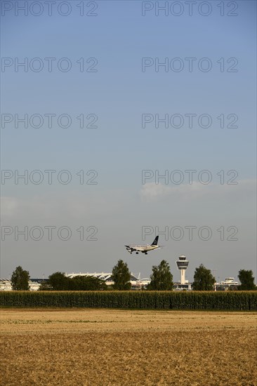 Star Alliance Airbus A320 landing on Runway North with Tower Munich Airport and cornfield in foreground