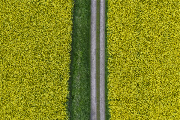 Aerial view over farmland with dirt road