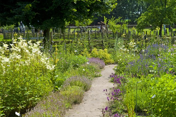 Farmers garden in the open-air museum Klockenhagen