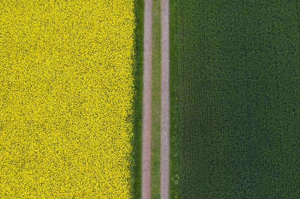 Aerial view over farmland with dirt road