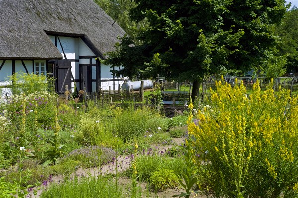 Farmers garden