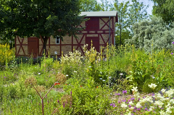 Farmers garden in the Klockenhagen Open-Air Museum
