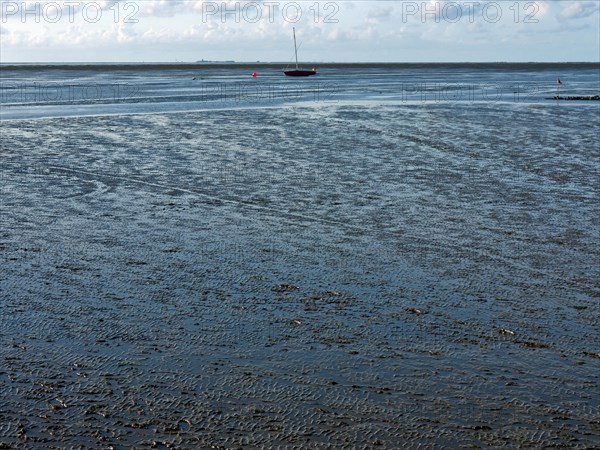 In the mudflats
