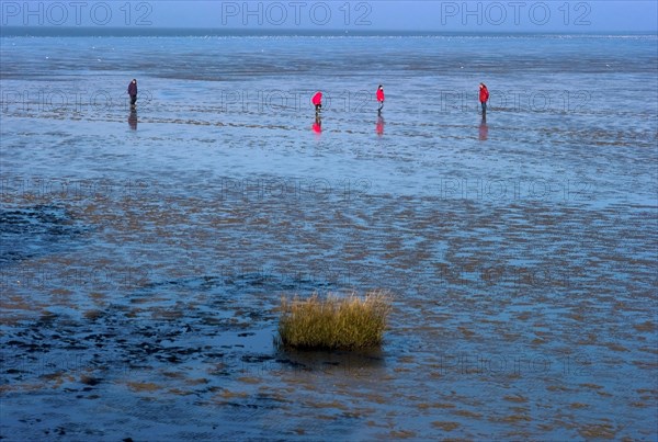 People in the Wadden Sea near Dorum Neufeld in the district of Cuxhaven