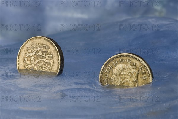 Frozen pound