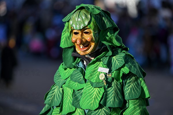 Narrenzunft Krutblaettsche from Kehl-Goldscheuer at the Great Carnival Parade