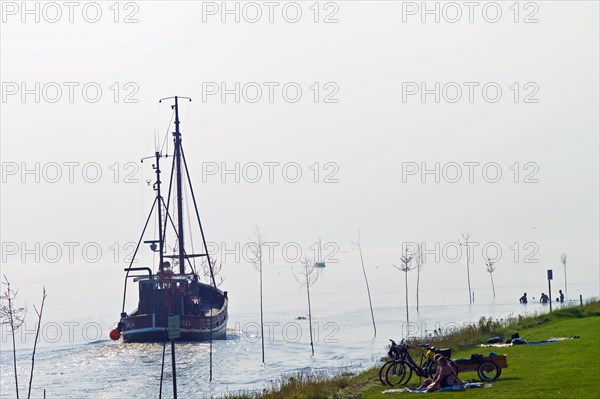 Departing crab cutter