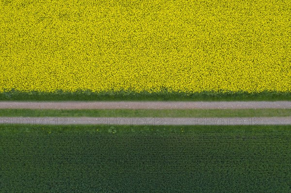 Aerial view over farmland with dirt road