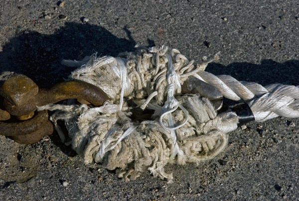 Rope of a crab cutter in the harbour of Dorum Neufeld in the district of Cuxhaven